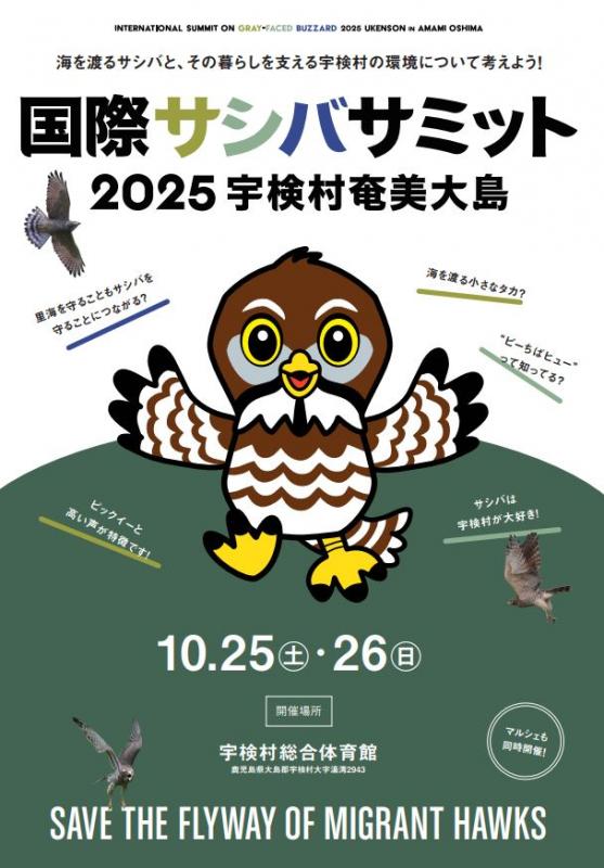 サシバサミットフライヤー