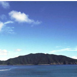 枝手久島の写真