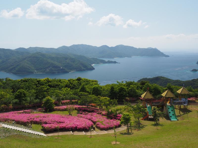 H30峰田山ツツジ