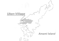 奄美大島の地図