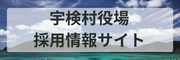 宇検村役場採用情報サイト2